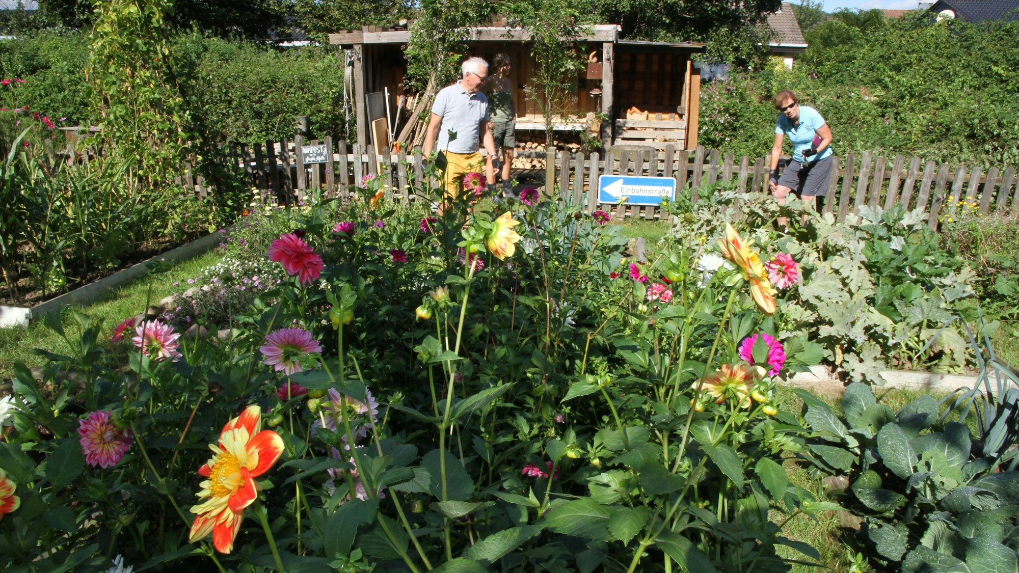 Hinter bunten Blumenbeeten gehen Besucher an einem Gartenzaun vorbei.