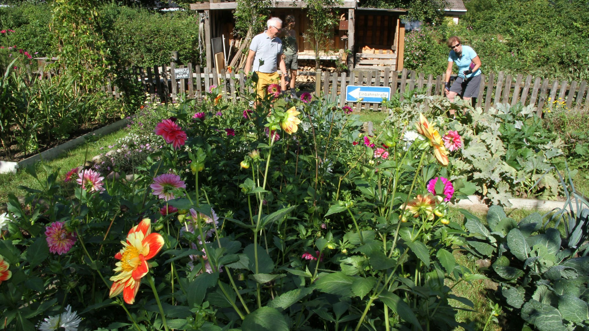 Die Dorfwiese Schachenauel bei der Bergischen Gartentour. (Archivbild)