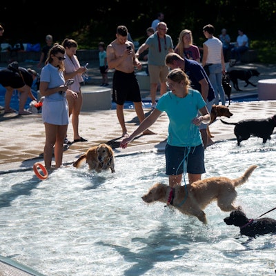 17.09.2023, Köln: Zum Saisonende dürfen auch Hunde im Stadionbad schwimmen. Foto: Uwe Weiser