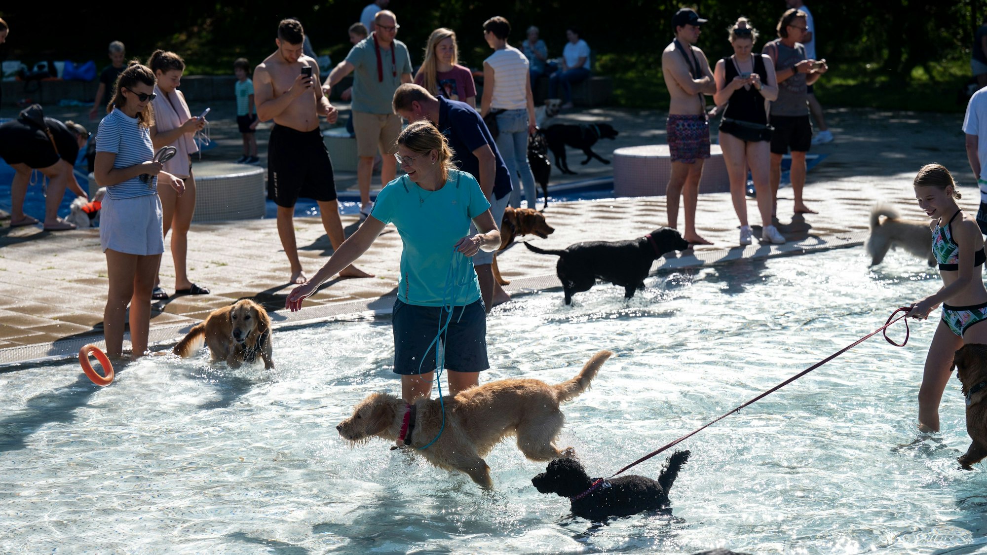17.09.2023, Köln: Zum Saisonende dürfen auch Hunde im Stadionbad schwimmen. Foto: Uwe Weiser