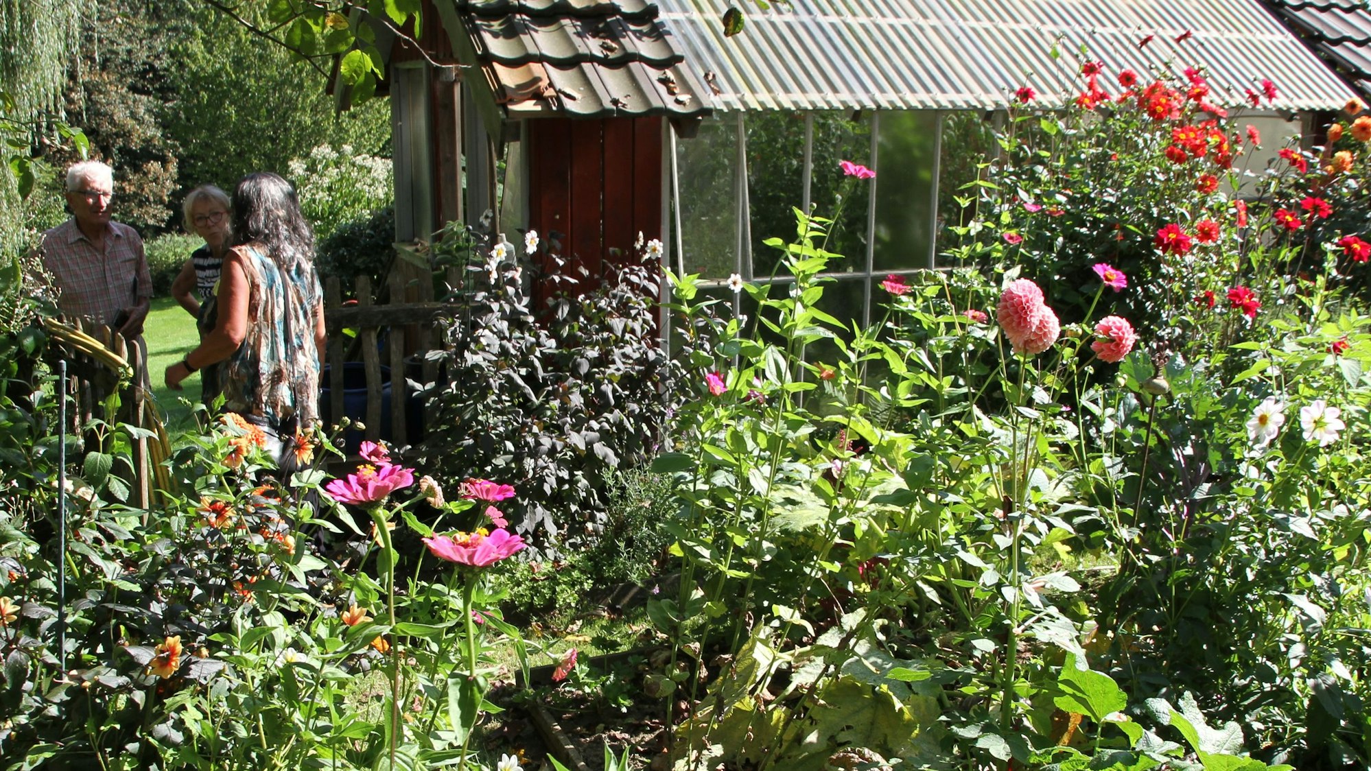Ein Treibhaus steht inmitten des grünen Gartens in Tüschenbonnen.