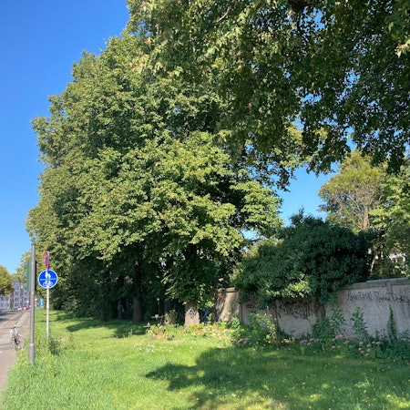 Die Begrenzung eines Schrebergartens am Rande einer Straße ist zu sehen.