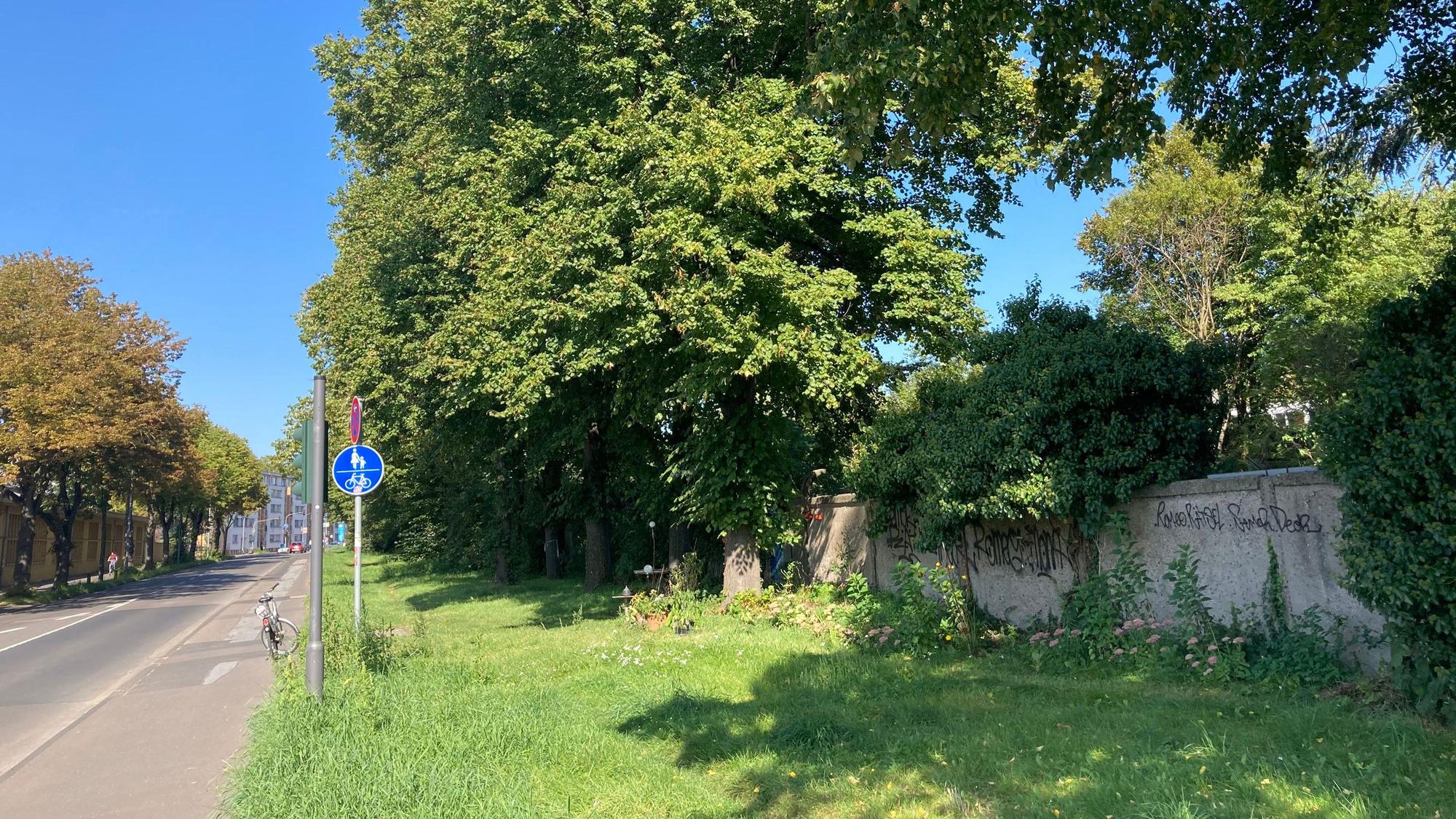 Die Begrenzung eines Schrebergartens am Rande einer Straße ist zu sehen.