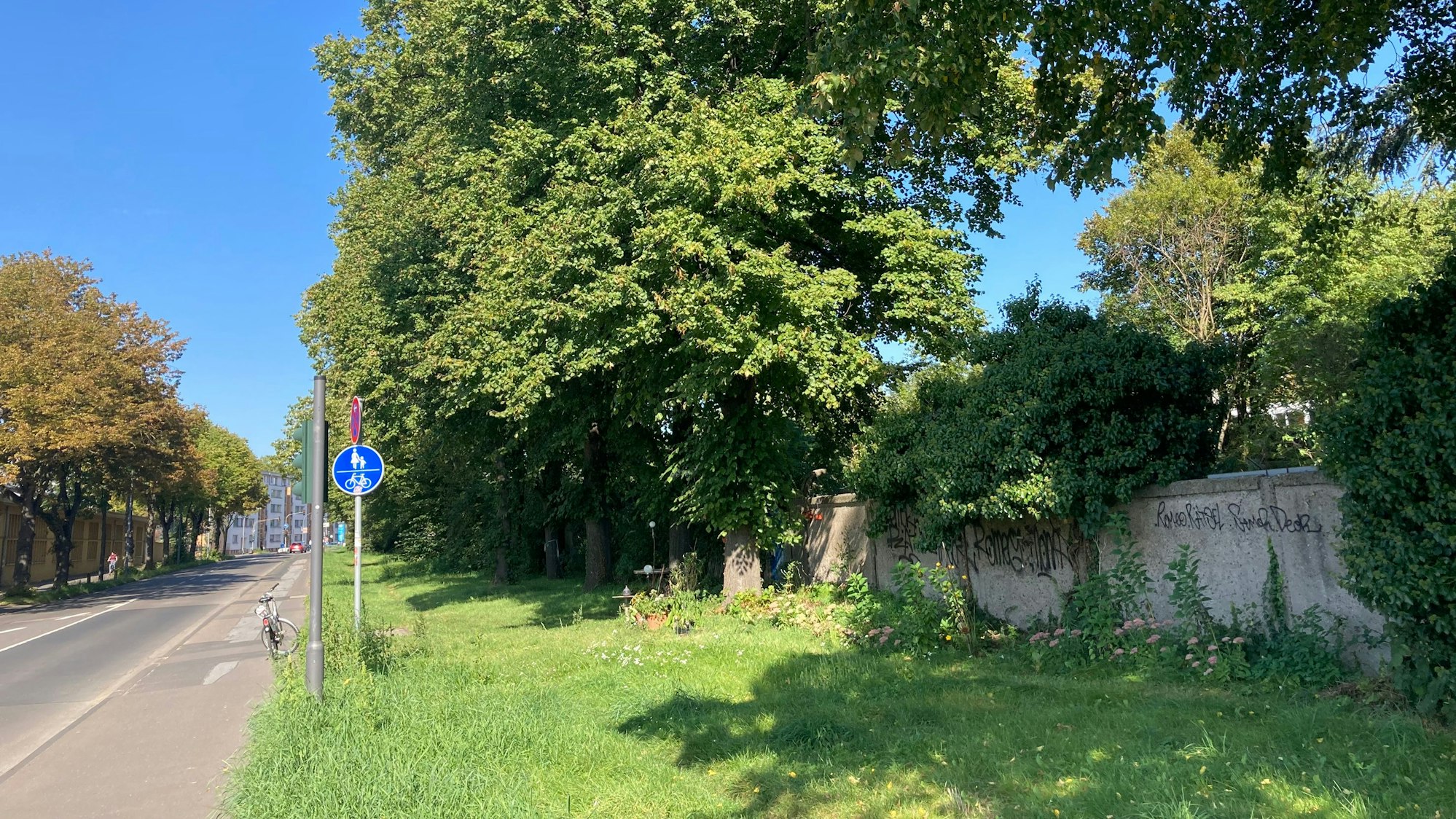 Die Begrenzung eines Schrebergartens am Rande einer Straße ist zu sehen.