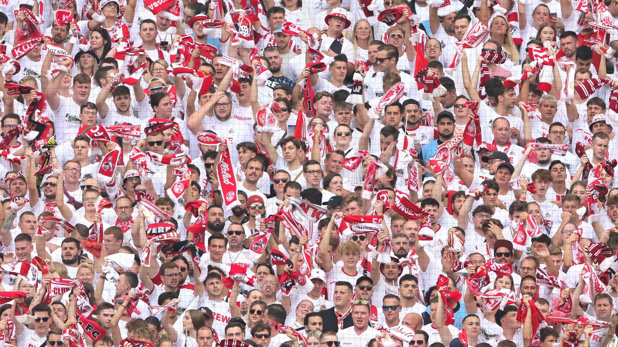 1.FC Köln vs. TSG 1899 Hoffenheim, 4. Spieltag, 16.09.2023, 15.30 Uhr, FC fans alle in weiß, Bild: Herbert Bucco