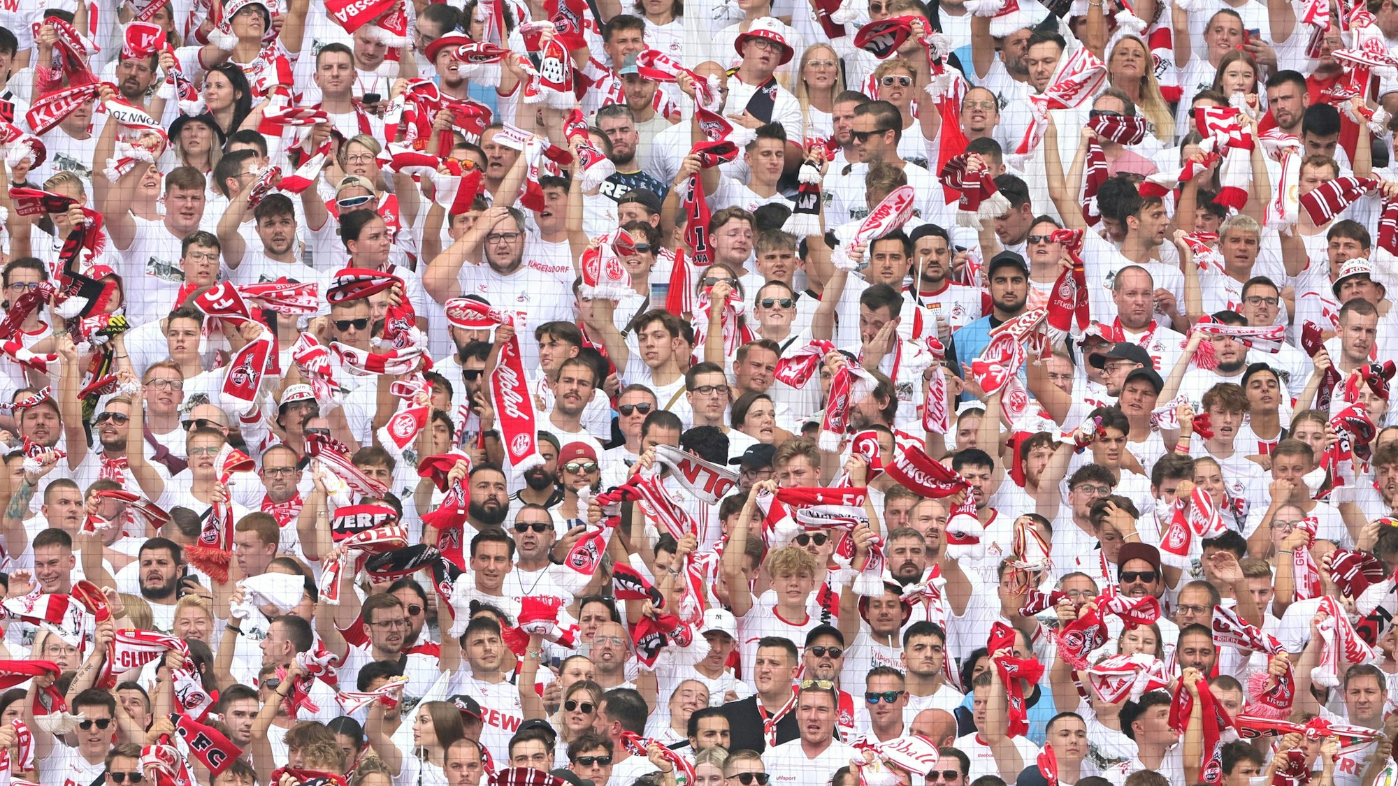 1.FC Köln vs. TSG 1899 Hoffenheim, 4. Spieltag, 16.09.2023, 15.30 Uhr, FC fans alle in weiß, Bild: Herbert Bucco