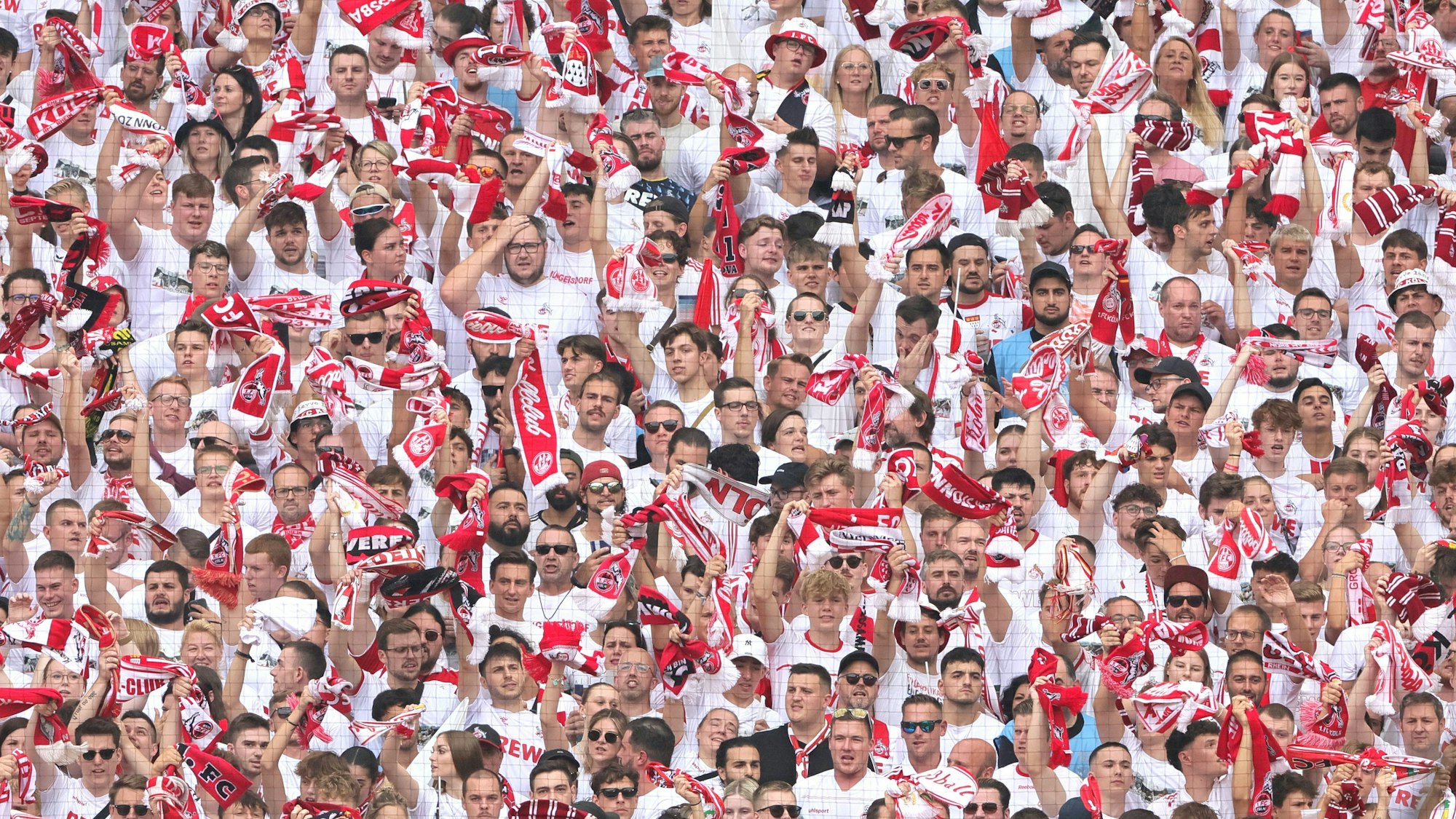 1.FC Köln vs. TSG 1899 Hoffenheim, 4. Spieltag, 16.09.2023, 15.30 Uhr, FC fans alle in weiß, Bild: Herbert Bucco