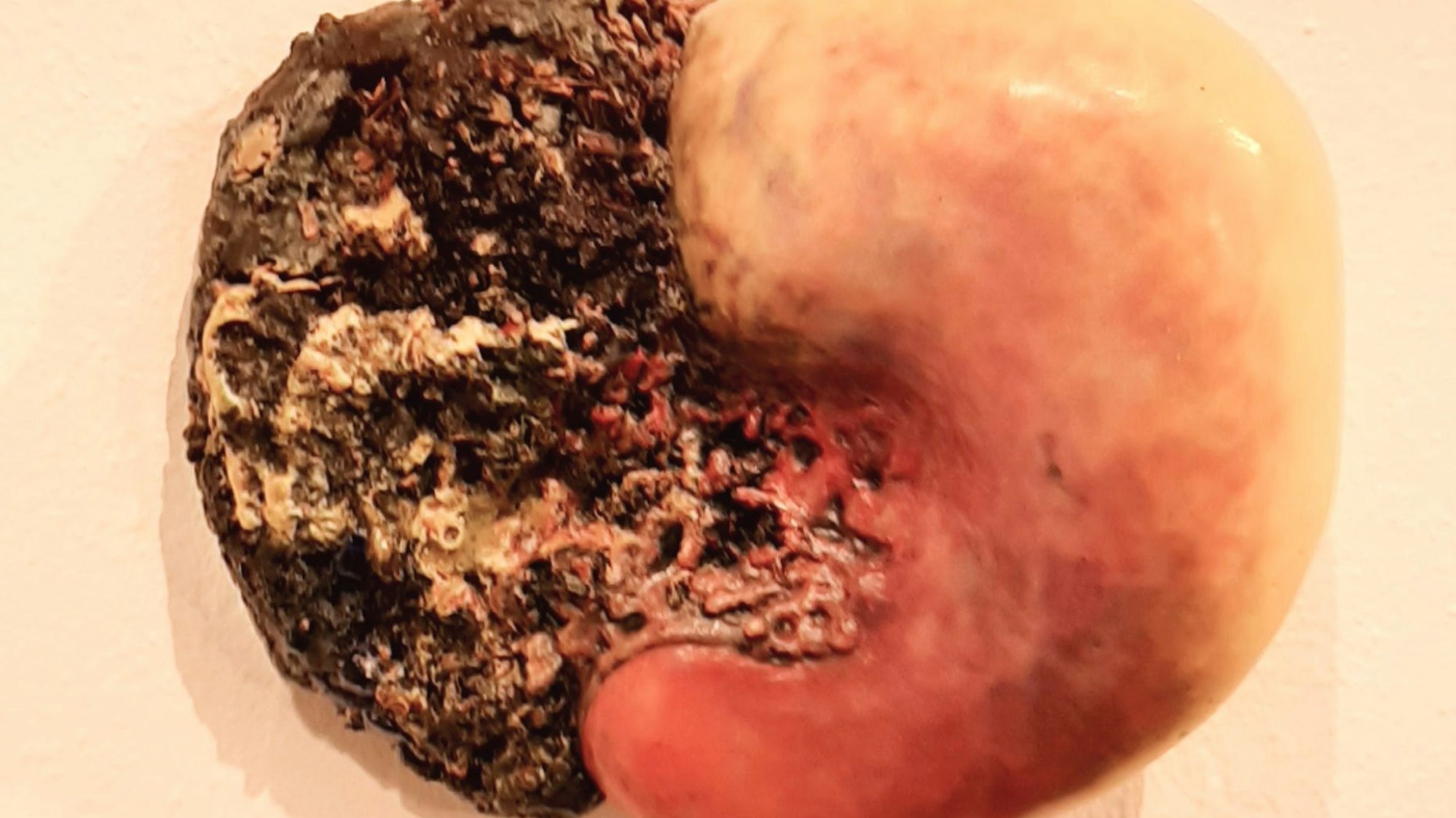 Skulptur an der Wand im Kunstverein Leverkusen.