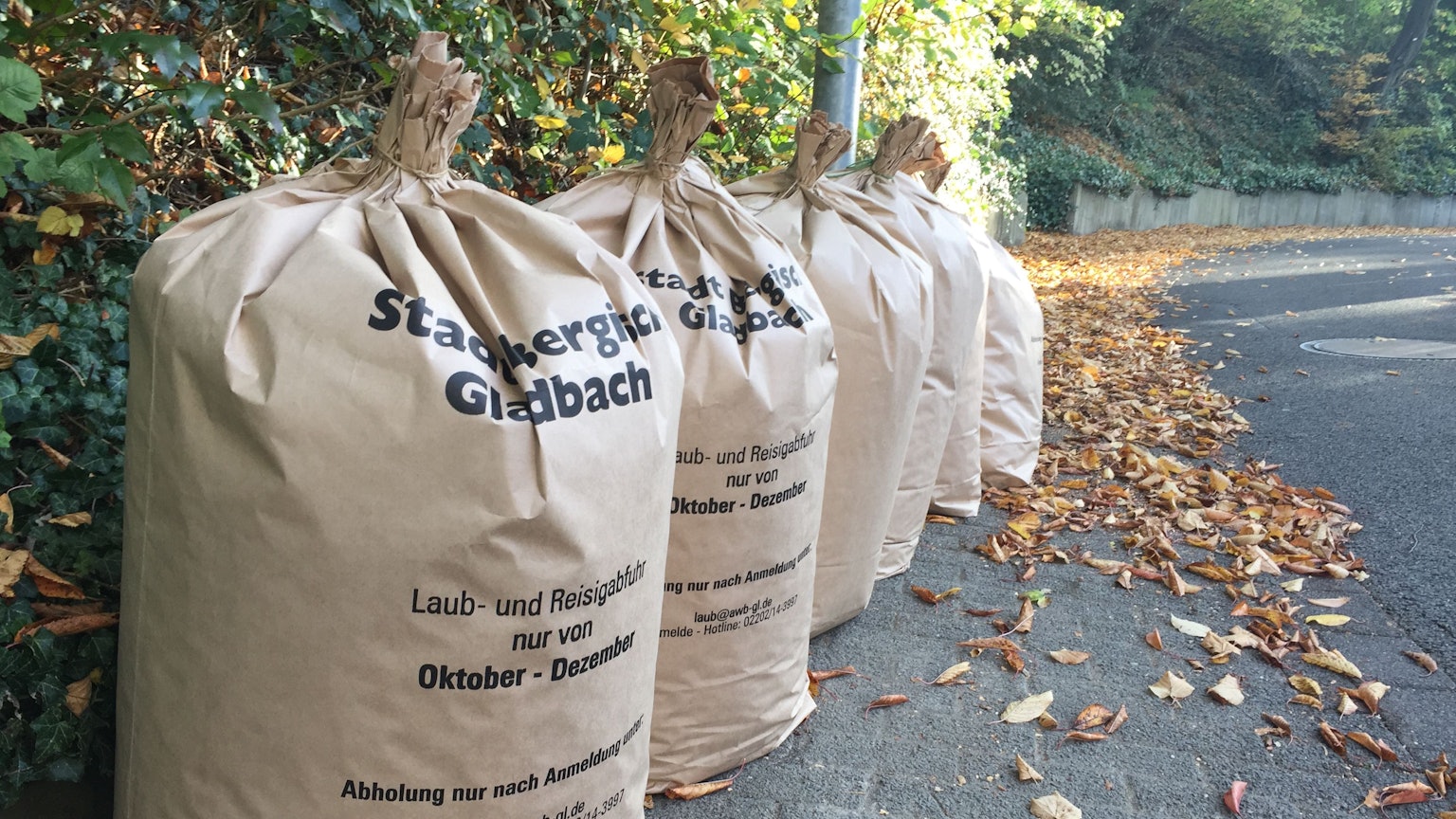 Das Foto zeigt Laubsäcke, die an einer Straße abgestellt sind