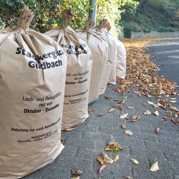 Mehrere große Papiersäcke gefüllt mit Laub stehen nebeneinander am Straßenrand.