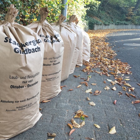 Das Foto zeigt Laubsäcke, die an einer Straße abgestellt sind