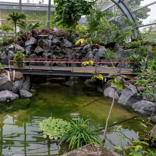 13.09.2023, Köln: Das neue Schaugewächshaus im Botanischen Garten ist noch nicht ganz fertig. Foto: Uwe Weiser
