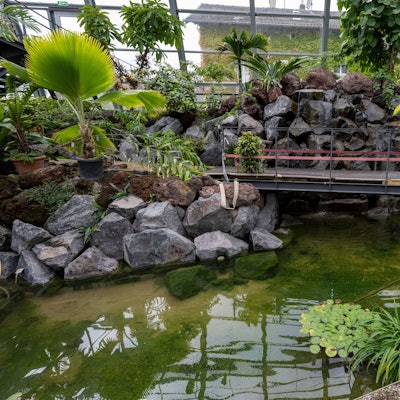 13.09.2023, Köln: Das neue Schaugewächshaus im Botanischen Garten ist noch nicht ganz fertig. Foto: Uwe Weiser