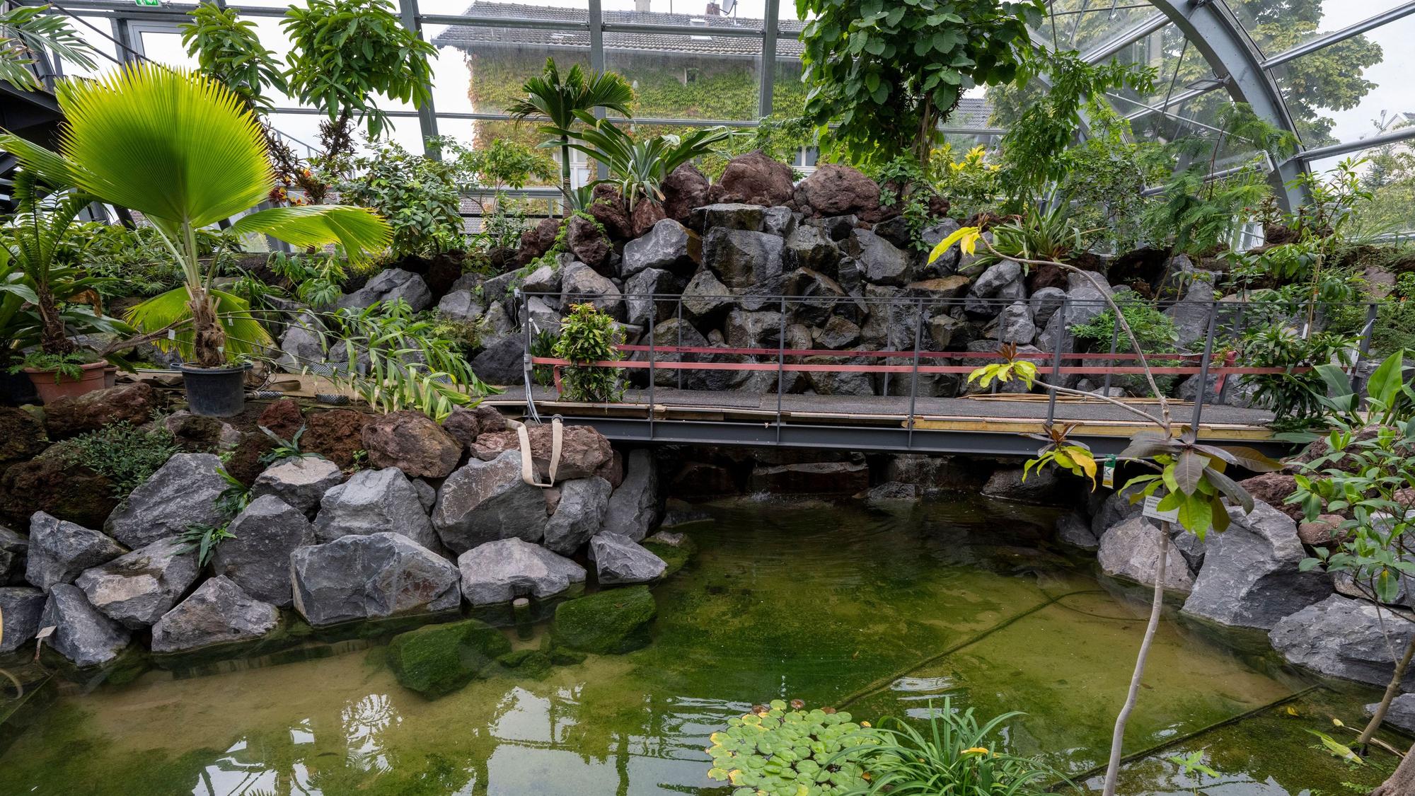 13.09.2023, Köln: Das neue Schaugewächshaus im Botanischen Garten ist noch nicht ganz fertig. Foto: Uwe Weiser