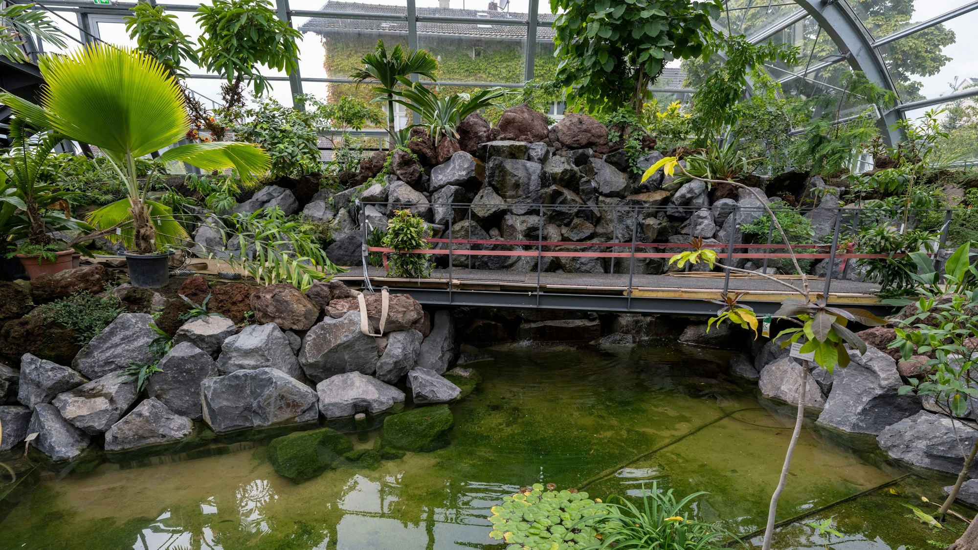 13.09.2023, Köln: Das neue Schaugewächshaus im Botanischen Garten ist noch nicht ganz fertig. Foto: Uwe Weiser