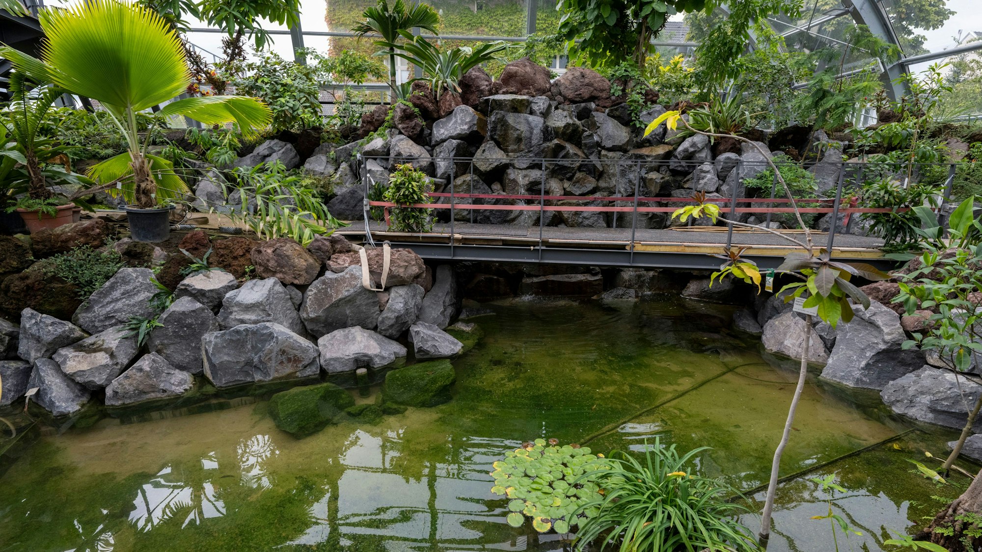 Blick in die neuen Schaugewächshäuser.