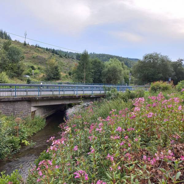In Bergneustadt-Immicke muss die Brücke der Kreisstraße 23 über den Othebach saniert werden.
Foto: Florian Sauer