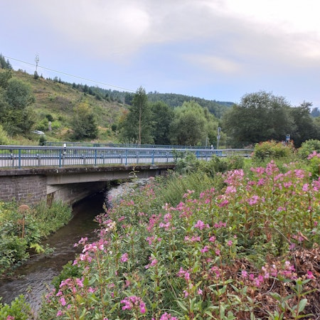 In Bergneustadt-Immicke muss die Brücke der Kreisstraße 23 über den Othebach saniert werden.
Foto: Florian Sauer