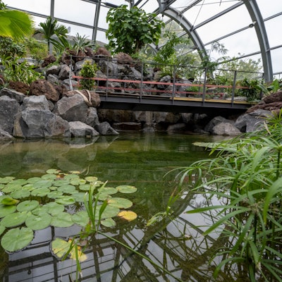 Ein Blick in die Schaugewächshäuser im vergangenen September.