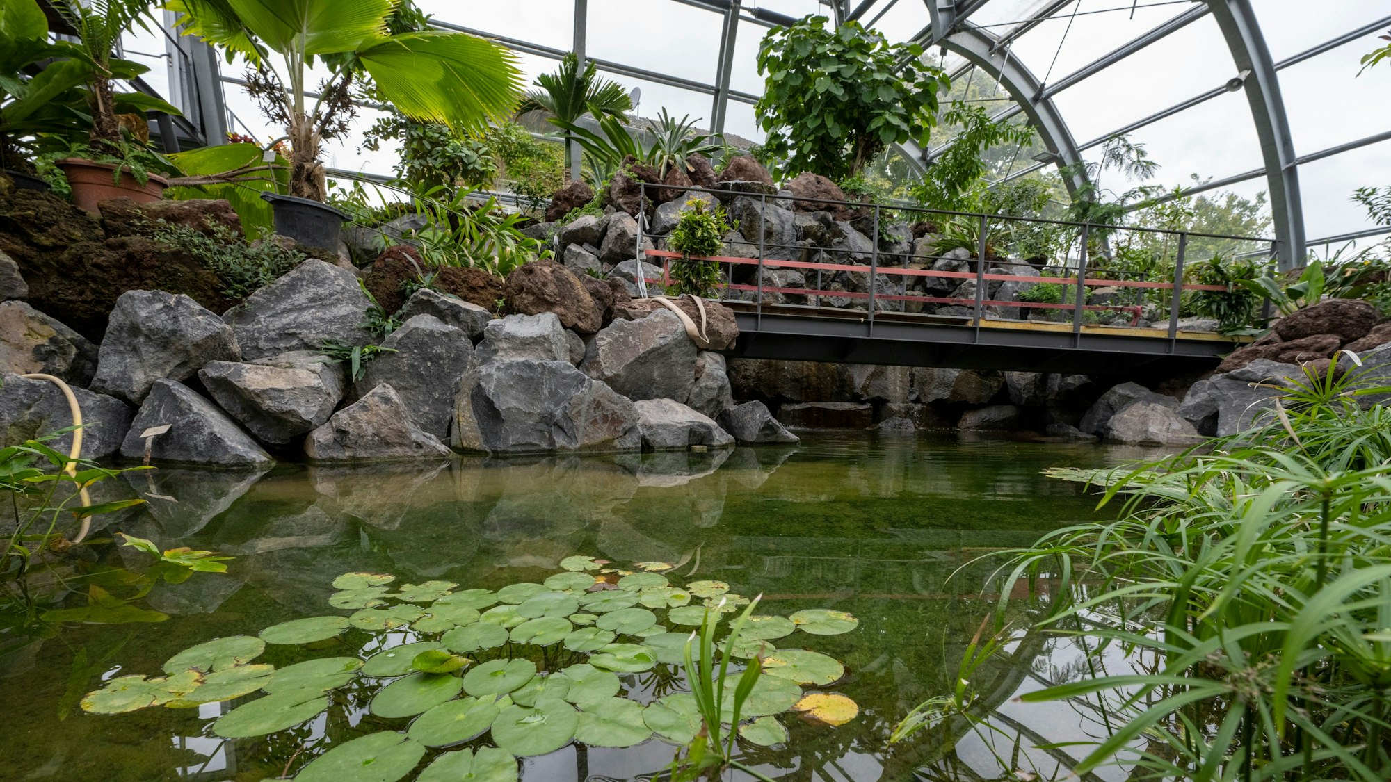 Ein Blick in die Schaugewächshäuser im vergangenen September.