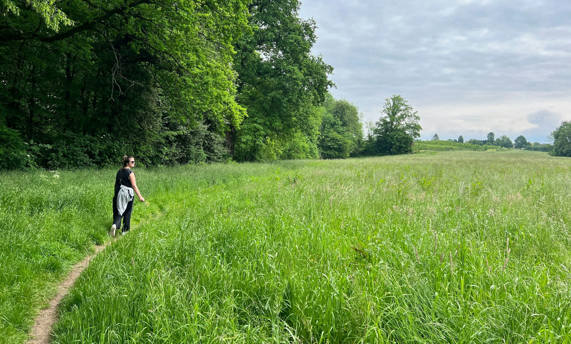 Die fünfte Etappe des Wanderwegs Rund um Leverkusen führt teilweise über schmale Pfade durch Wiesen zwischen Romberg und Handerfeld.
