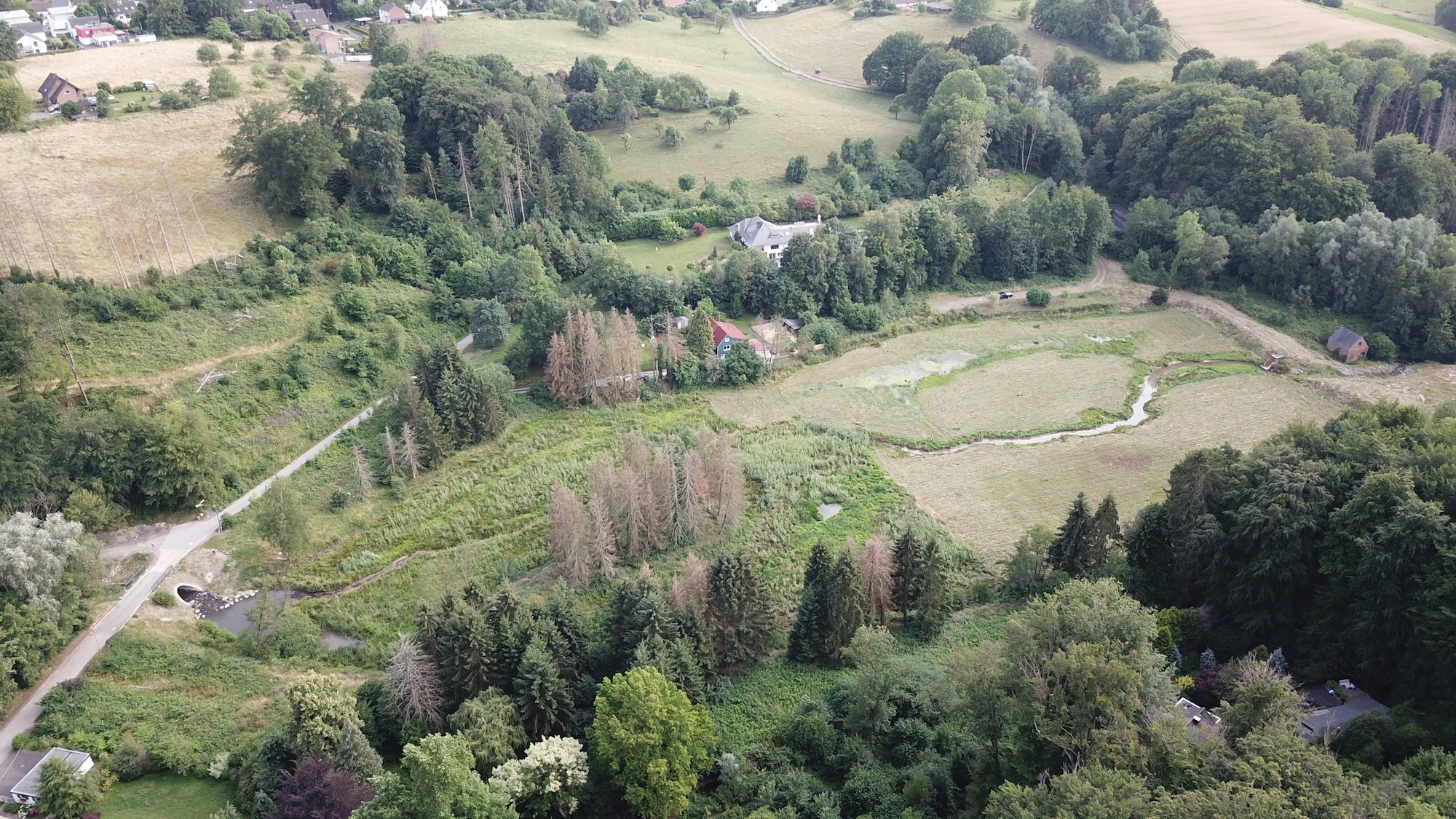 Das Naherholungsgebiet Diepental.