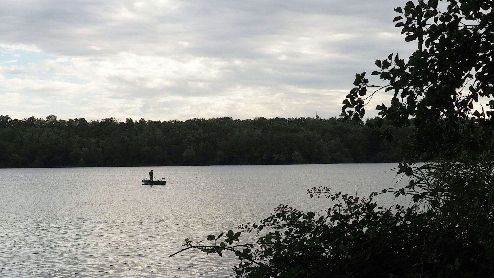 Das Foto zeigt den Liblarer See in der Abendstimmung.