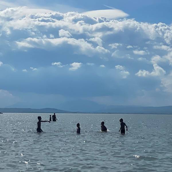 Kinder stehen im seichten Wasser des Neusiedler Sees. Kilometerweit vom Ufer entfernt, kann man im Neusiedler See in Österreich noch stehen. Das Flachwasser an der ungarischen Grenze ist seit 30 Jahren Nationalpark - und hat ein strukturelles Problem.