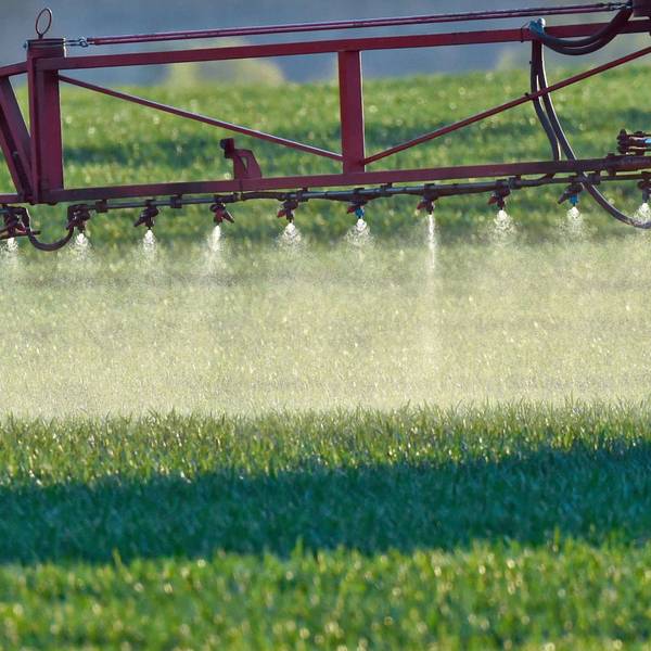 Ein Landwirt fährt mit einer Dünger- und Pestizidspritze über ein Feld mit jungem Getreide.