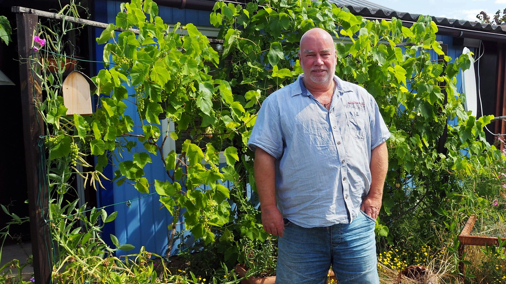 Ein Mann steht in seinem Garten vor einem Rankgitter.