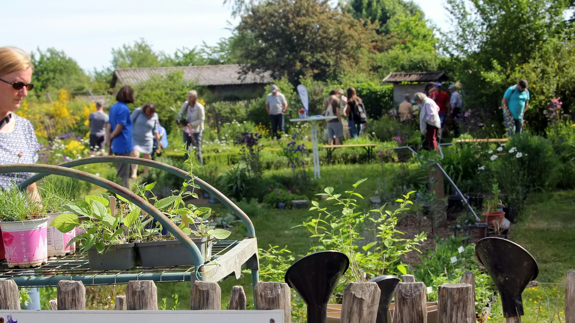 Das Foto zeigt Besucher auf dem Gelände des Umweltzentrums.