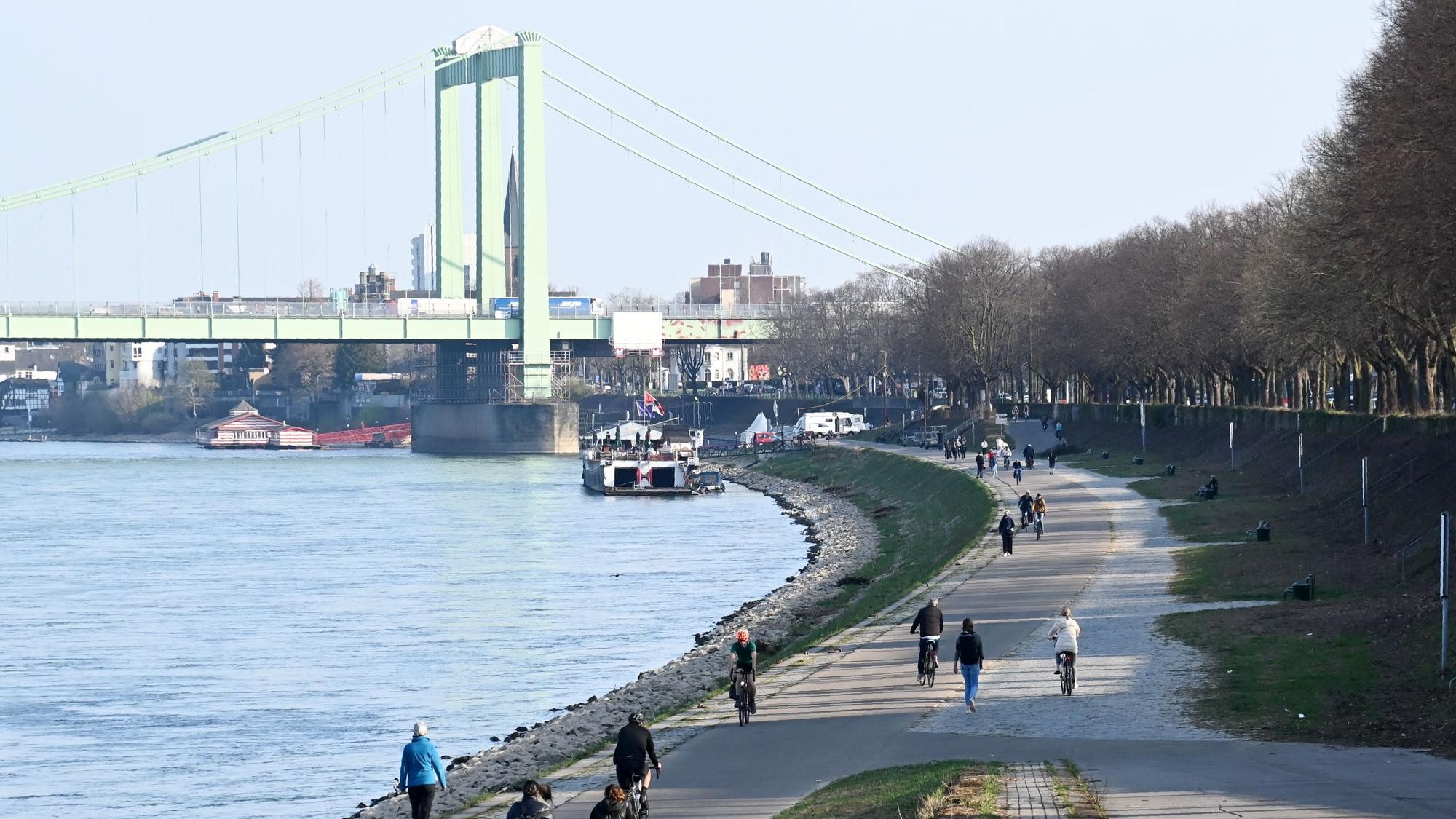 Die Rodenkirchener Brücke in Köln vom Rheinufer aus betrachtet