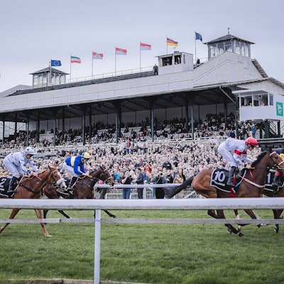 Renntag auf der Galopprennbahn in Köln Weidenpesch