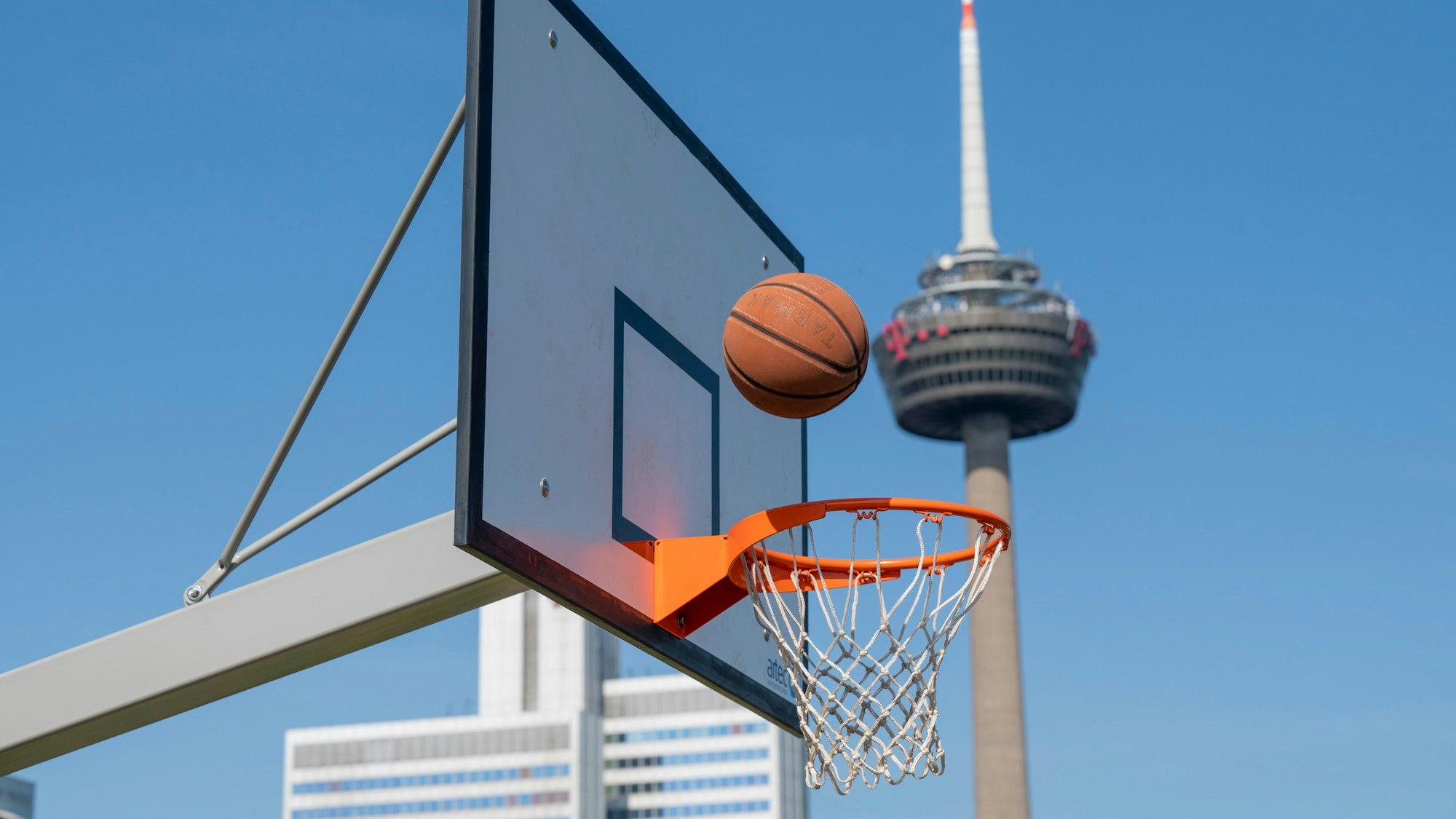 Ein Basketballnetz im Grüngürtel, im Hintergrund der Colonius
