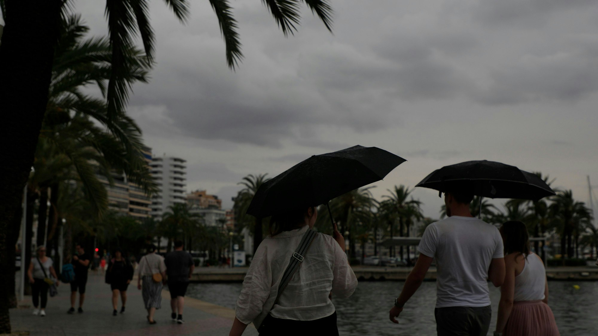 02.09.2023, Spanien, Palma: Mit Schirmen sind Spaziergänger an der Strandpromenade unterwegs. (Symbolbild)
