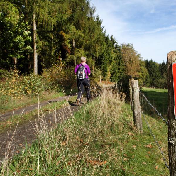 Eine Wanderin geht auf einem Weg, an dem die Wegemarkierung des Fachwerkwegs mit einer weißen 22 auf rotem Grund montiert ist.