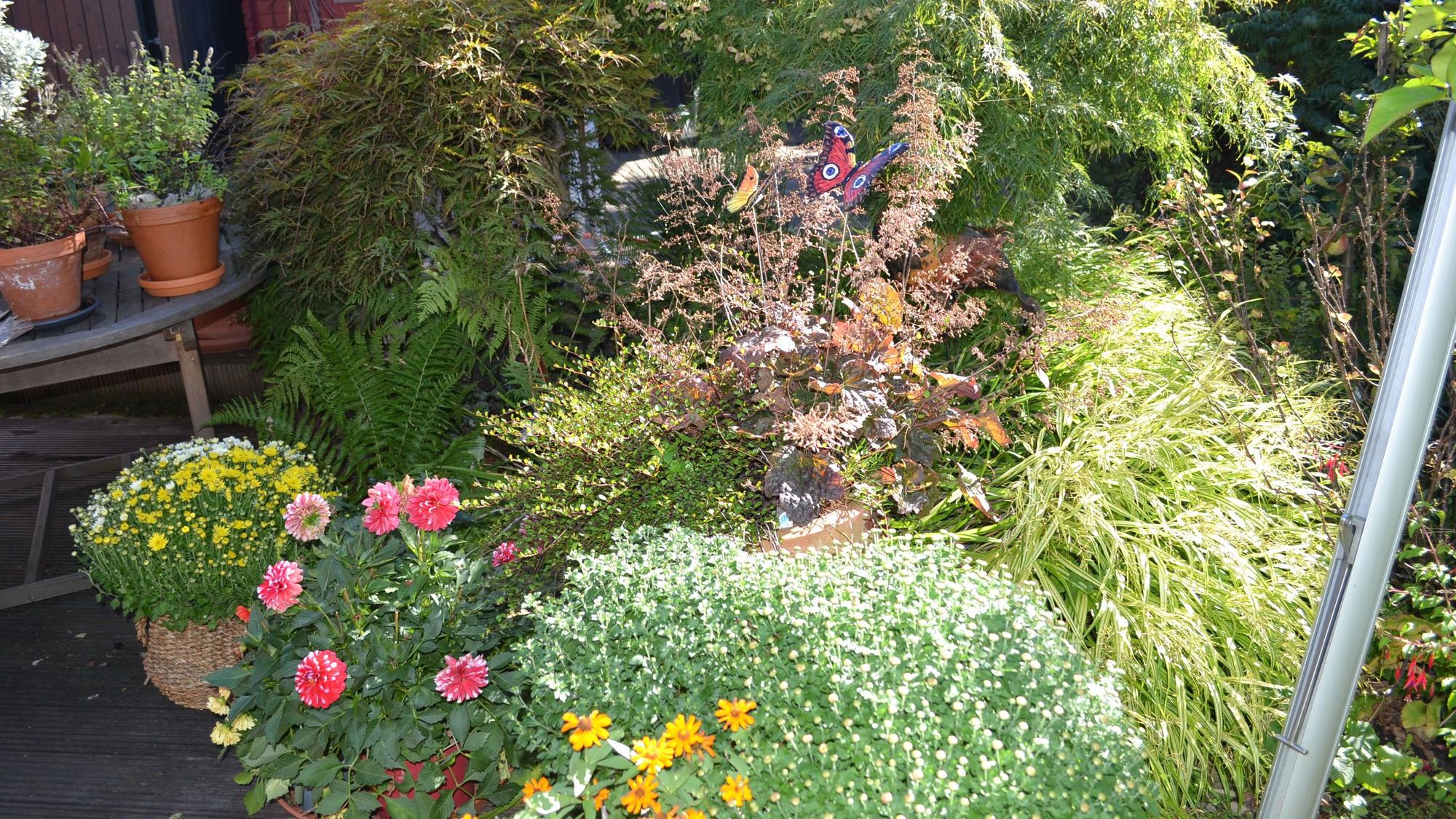 Bei den Günters blüht es auch im Herbst noch in ihrem 300 Quadratmeter-Garten.