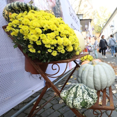 Im Vordergrund befinden sich Blumen und Zierkürbisse auf einem Stufenregal. Im Hintergrund laufen Menschen über den Martinimarkt.