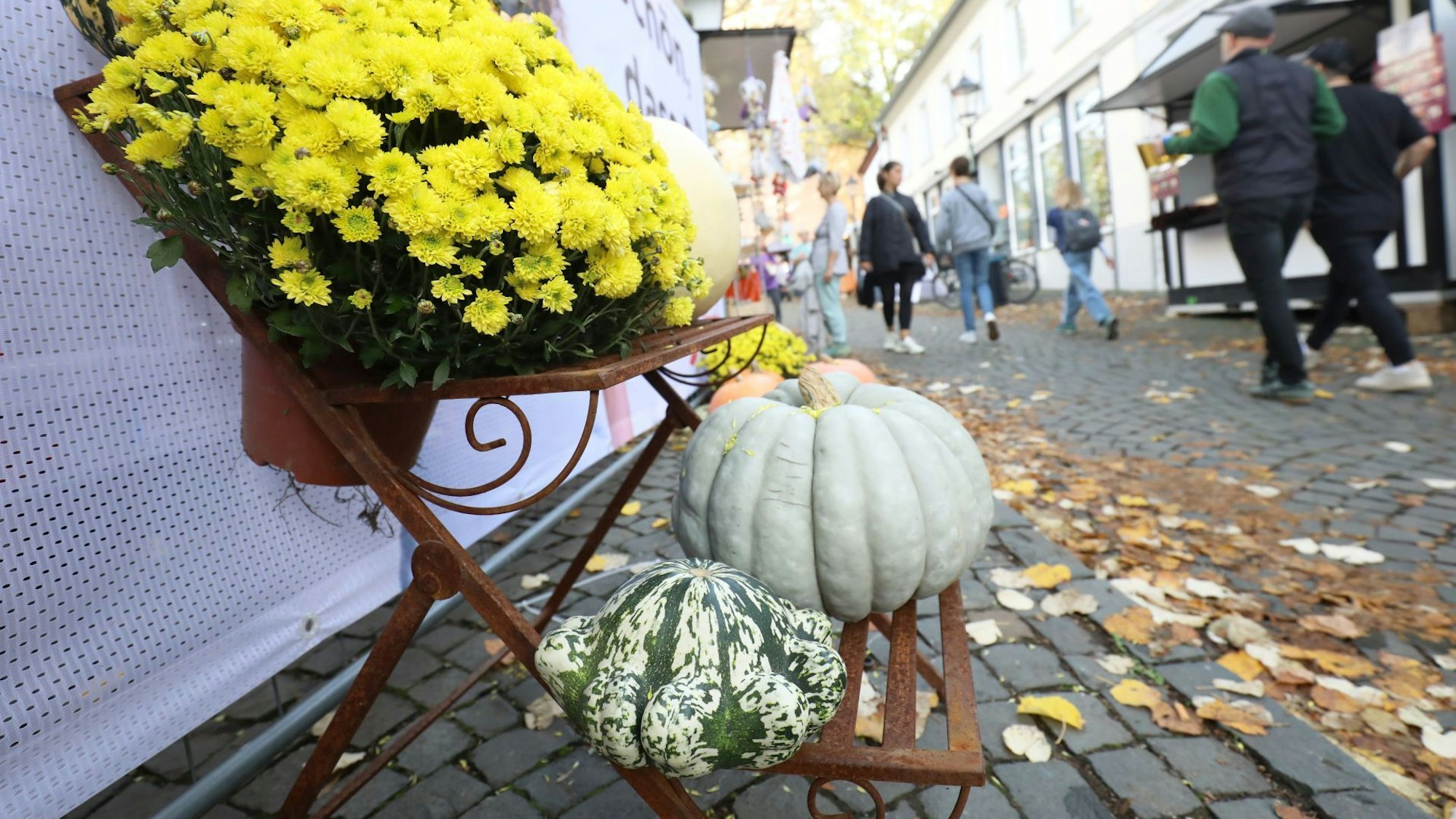 Im Vordergrund befinden sich Blumen und Zierkürbisse auf einem Stufenregal. Im Hintergrund laufen Menschen über den Martinimarkt.