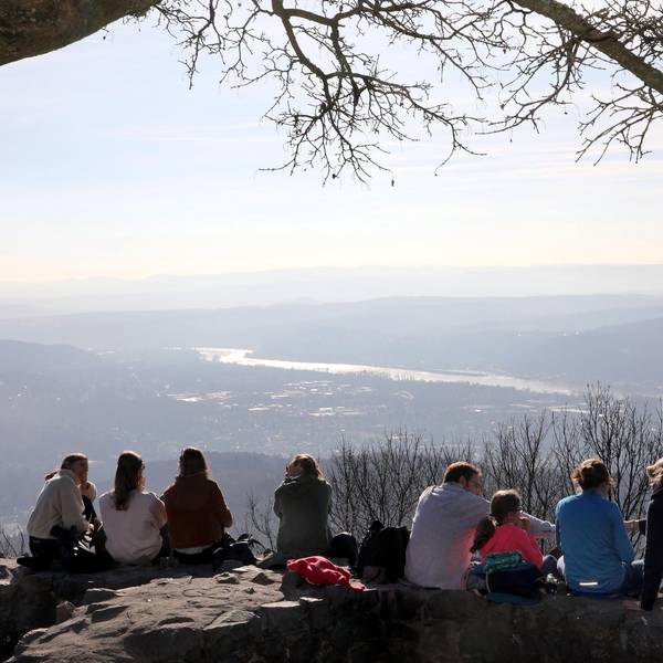 Herrlicher Weitblick von der Löwenburg im Siebengebirge.