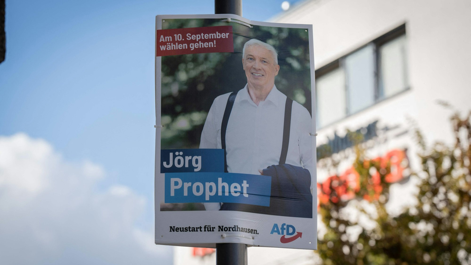 Ein Wahlplakat des Kandidaten der Alternative für Deutschland (AfD) Jörg Prophet.