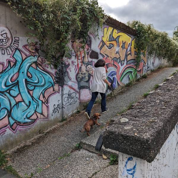 Eine Frau mit Hund steigt eine Rampe neben einer Treppe hinauf, im Hintergrund eine Betonwand mit Graffiti.