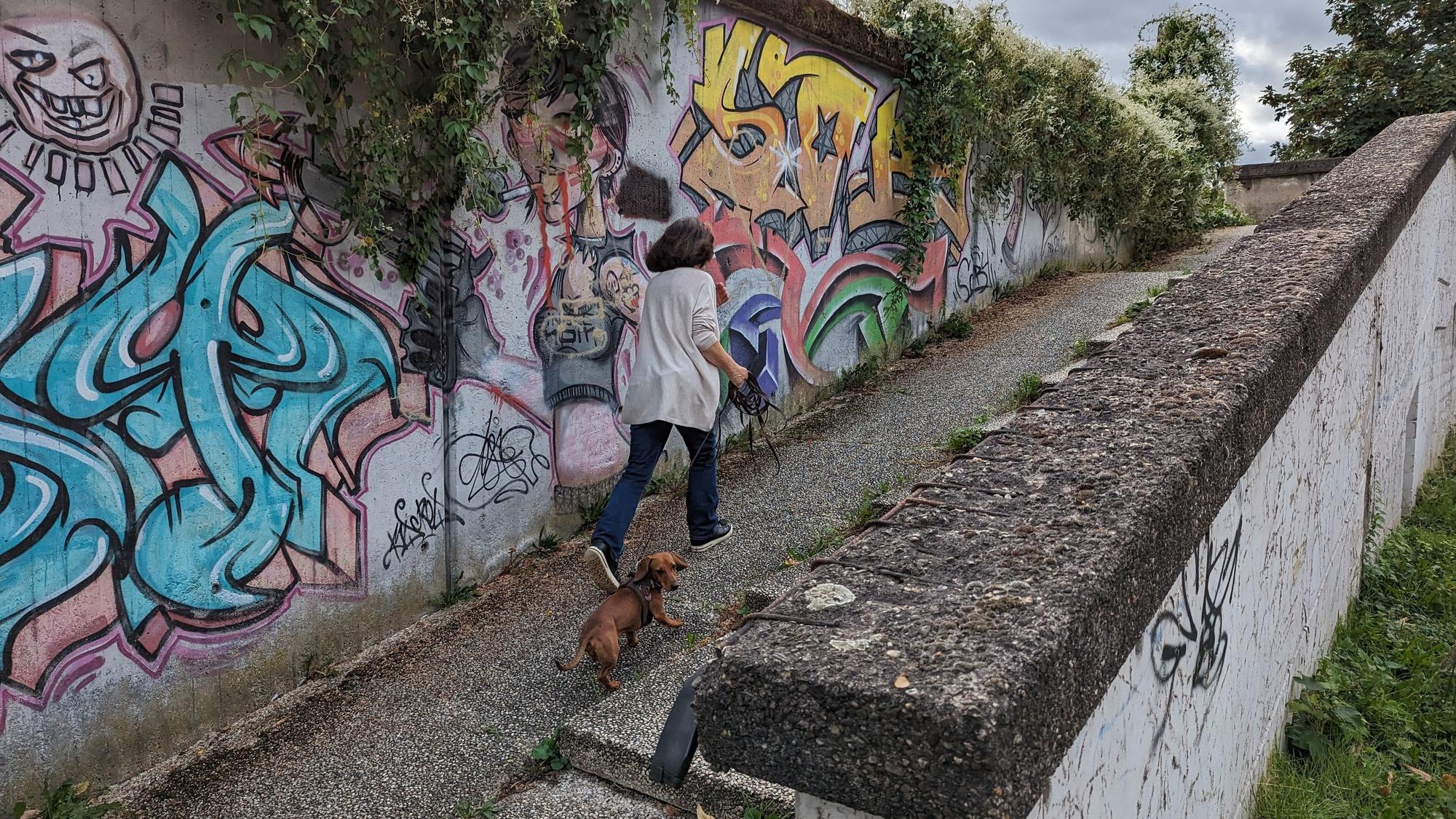 Eine Frau mit Hund steigt eine Rampe neben einer Treppe hinauf, im Hintergrund eine Betonwand mit Graffiti.