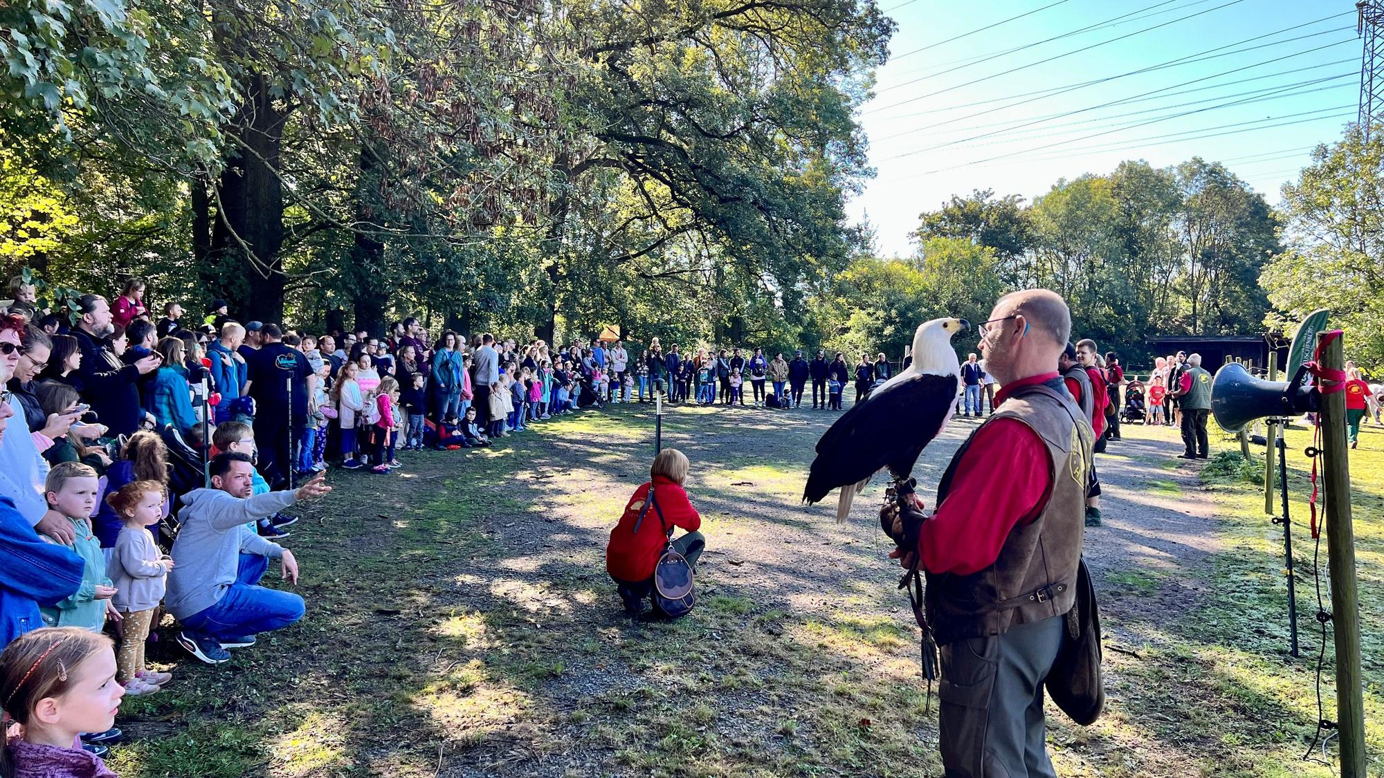 Natur, Tiere und jede Menge zu entdecken: Im Wildpark Reuschenberg leben mehr als 300 Tiere auf 60.000 Quadratmetern.