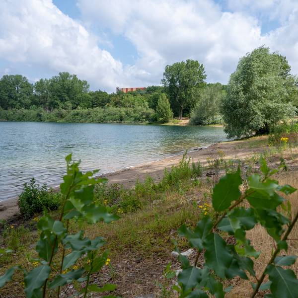 See 7 der Sport- und Erholungsanlage Fühlinger See.