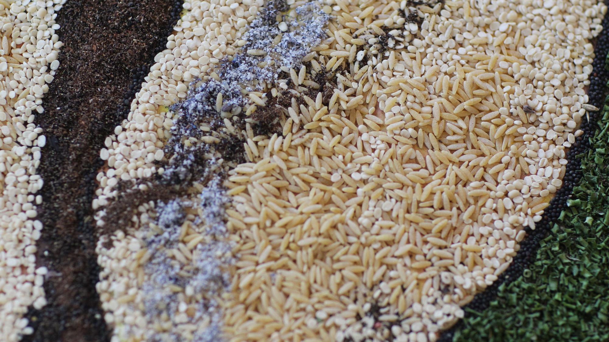 Eine Nahaufnahme zeigt Reiskörner in einem Abschnitt des Erntebildes.