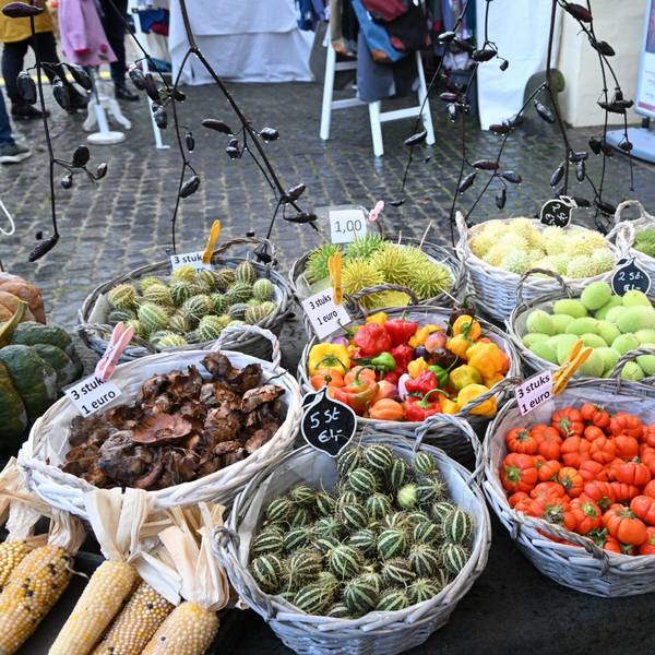 An einem Marktstand liegen in grauen Körben verschiedene bunte Kürbis- und Gemüsesorten wie Paprika, Tomaten, aber auch Mais und anderes Gemüse mit stachliger und gestreifter Schale.