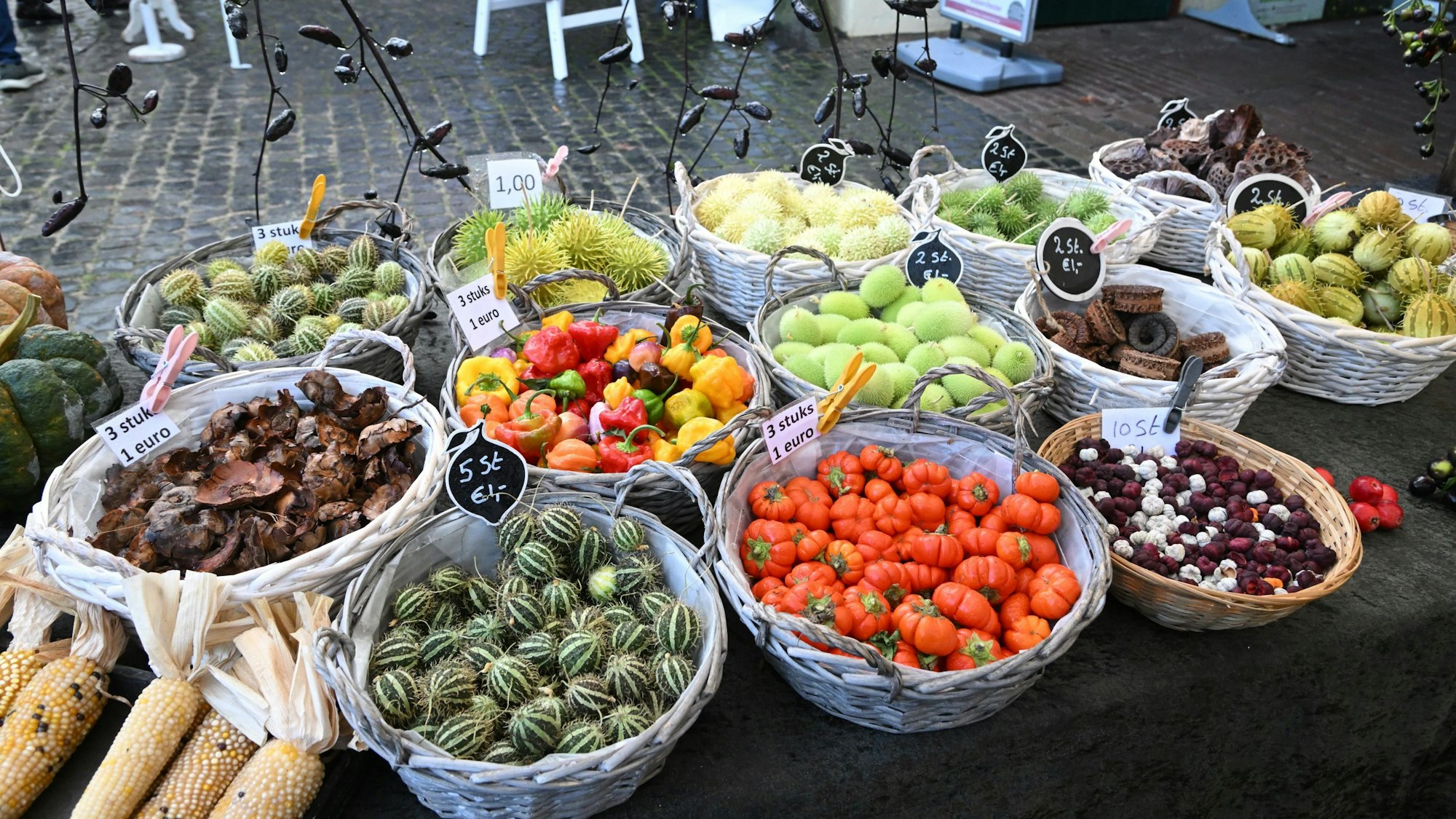 An einem Marktstand liegen in grauen Körben verschiedene bunte Kürbis- und Gemüsesorten wie Paprika, Tomaten, aber auch Mais und anderes Gemüse mit stachliger und gestreifter Schale.