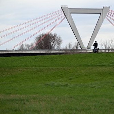 Das Bild zeigt die Rheinaue bei Meerbusch. In einem Maisfeld wurde vor 31 Jahren die teilweise entkleidete Leiche einer Frau gefunden.