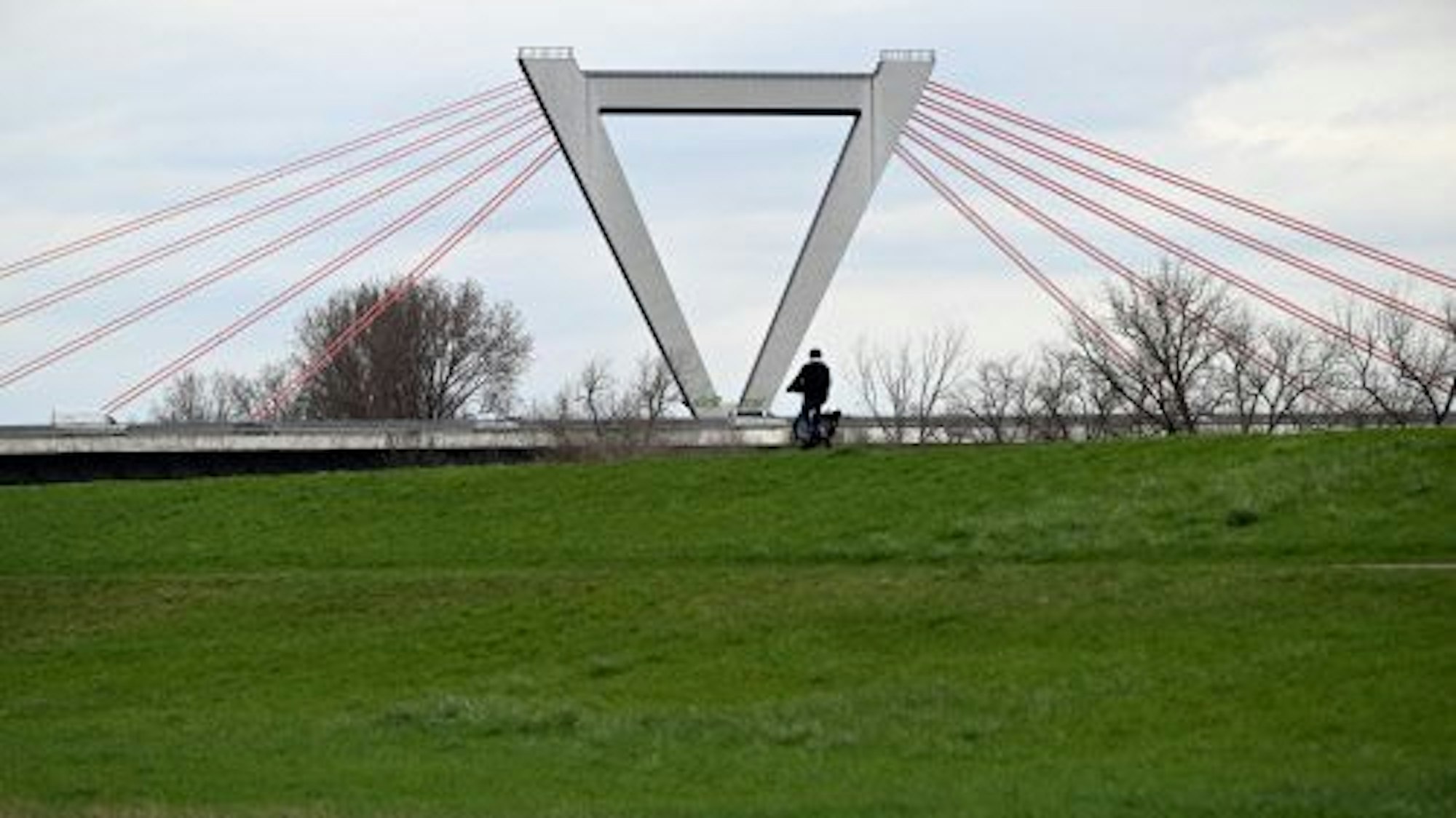 Das Bild zeigt die Rheinaue bei Meerbusch. In einem Maisfeld wurde vor 31 Jahren die teilweise entkleidete Leiche einer Frau gefunden.